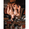The Male Muse Livre photo INSPIRO n°5
